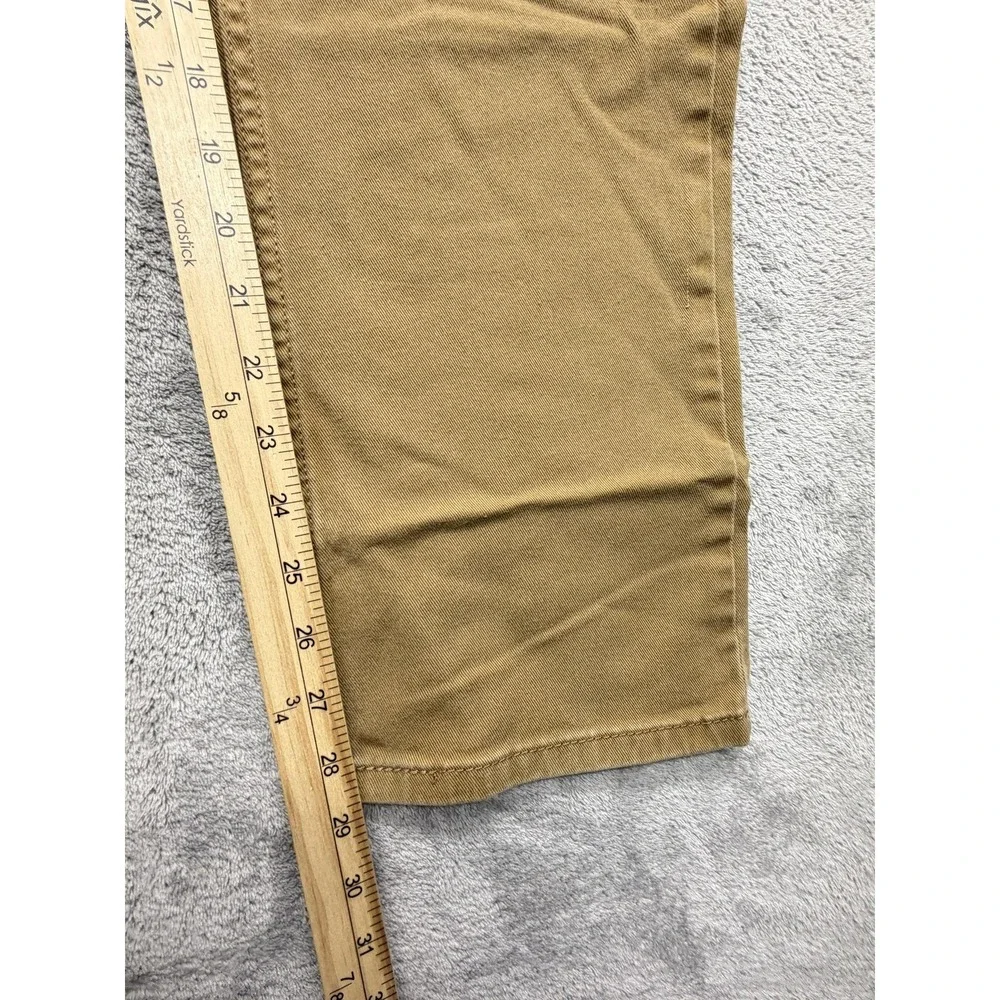 Levis levis 513